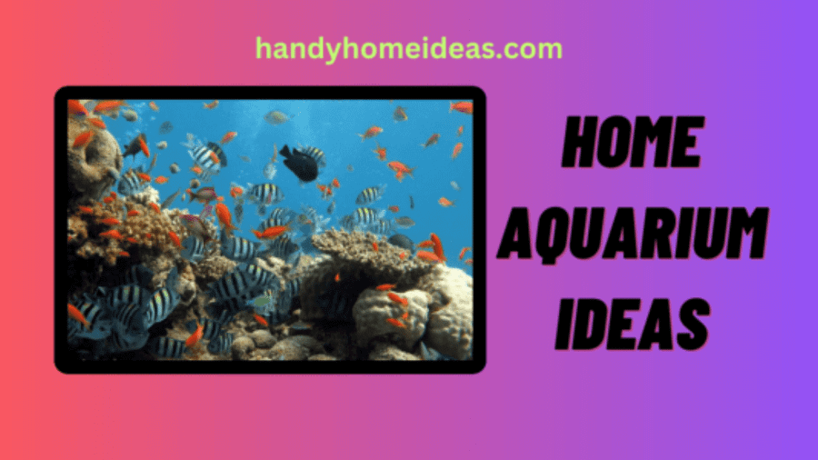 Transform Your Living Space with Innovative Home Aquarium Ideas